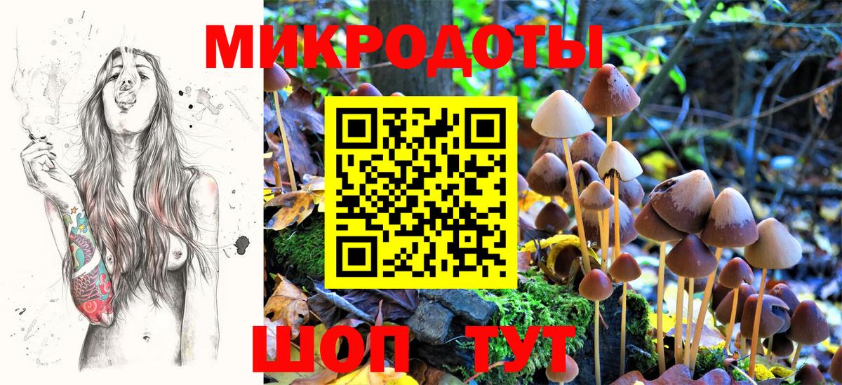COCAIN Краснодар